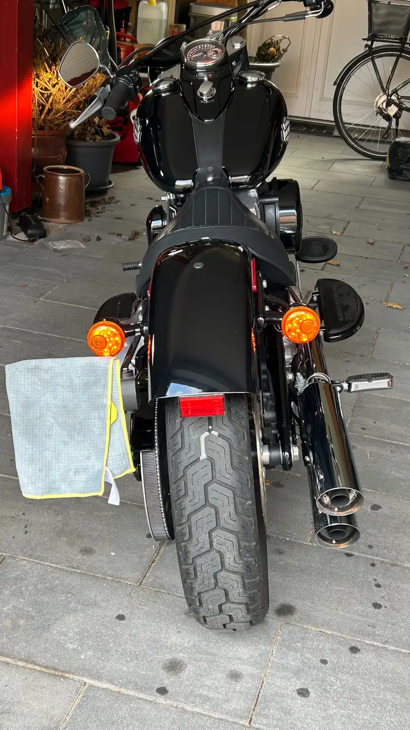 2014 Harley-Davidson Softail Slim FLS 103 photo 7