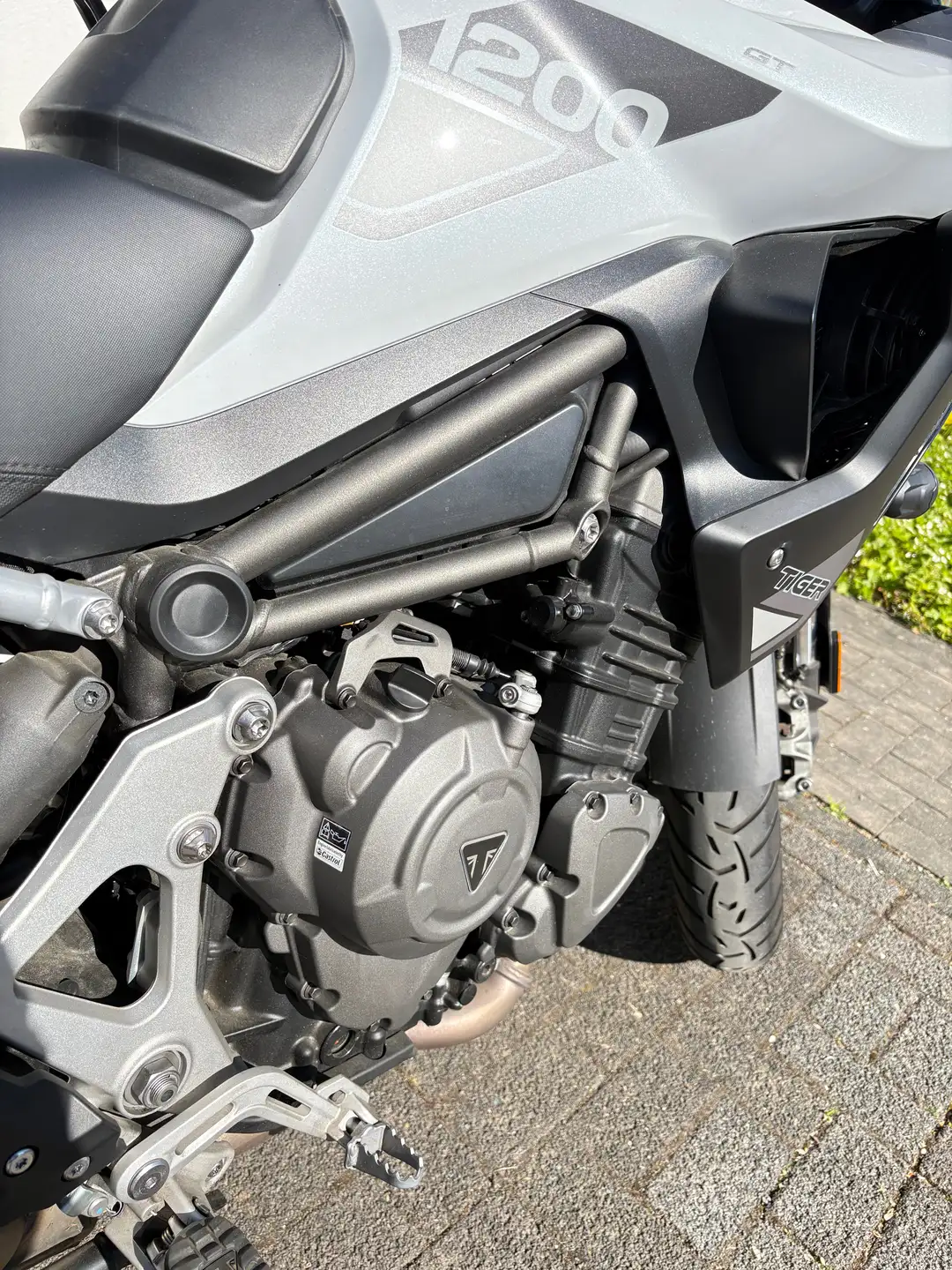 2023 Triumph Tiger 1200 GT photo 13