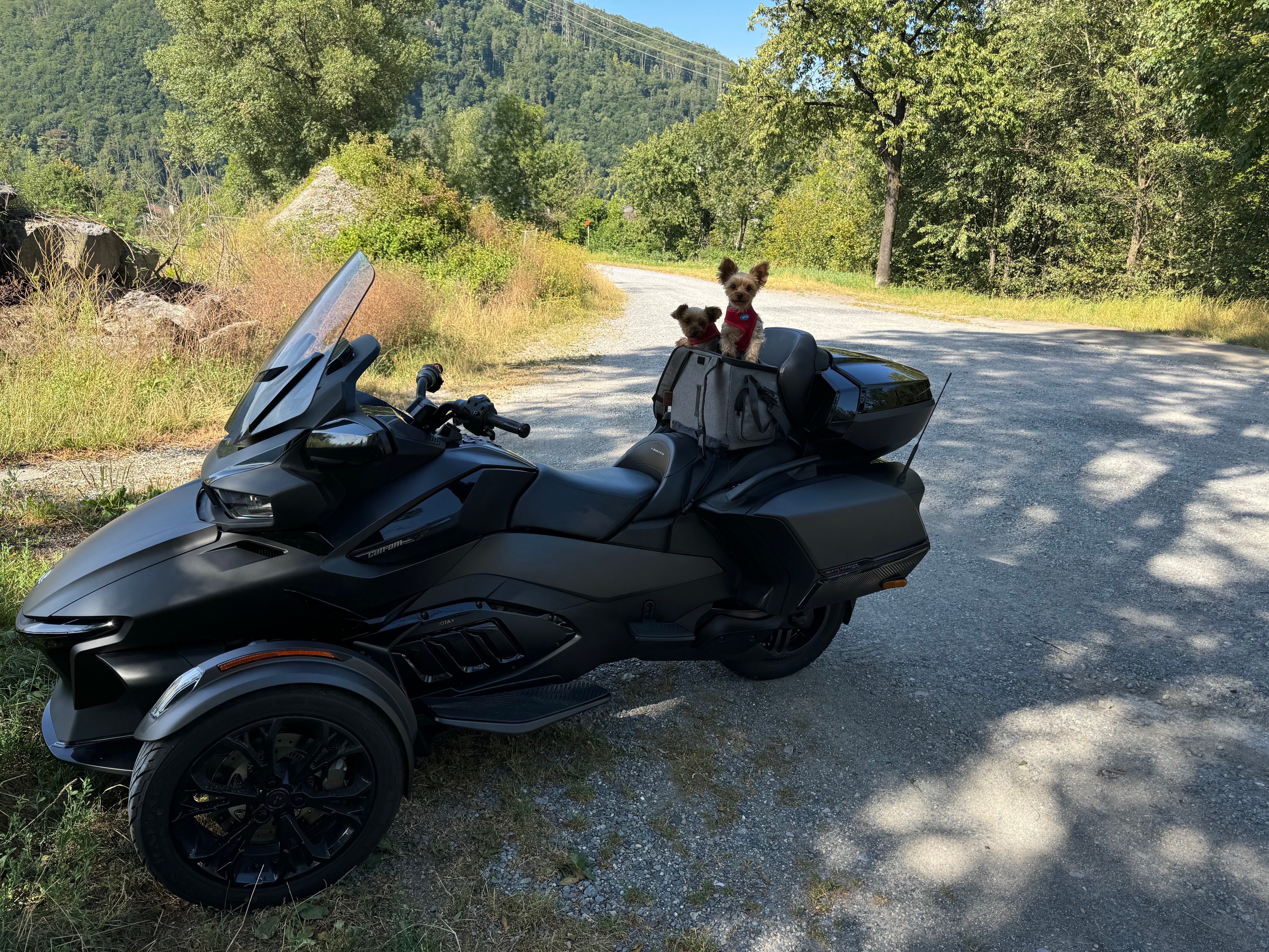 2023 CAN-AM Spyder Spyder RT-LTD Dark Edition SE6 photo 6